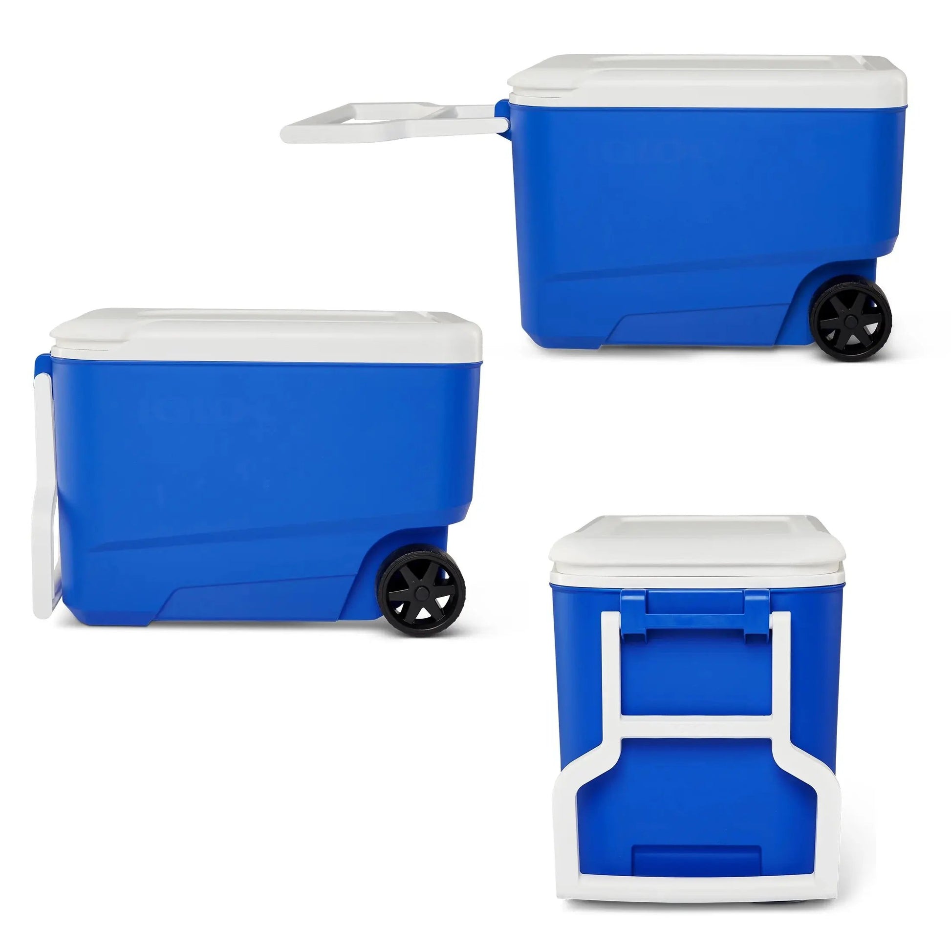 38 QT Wheelie Cool Hard Sided Cooler with Wheels, Blue Cool Brand Designs