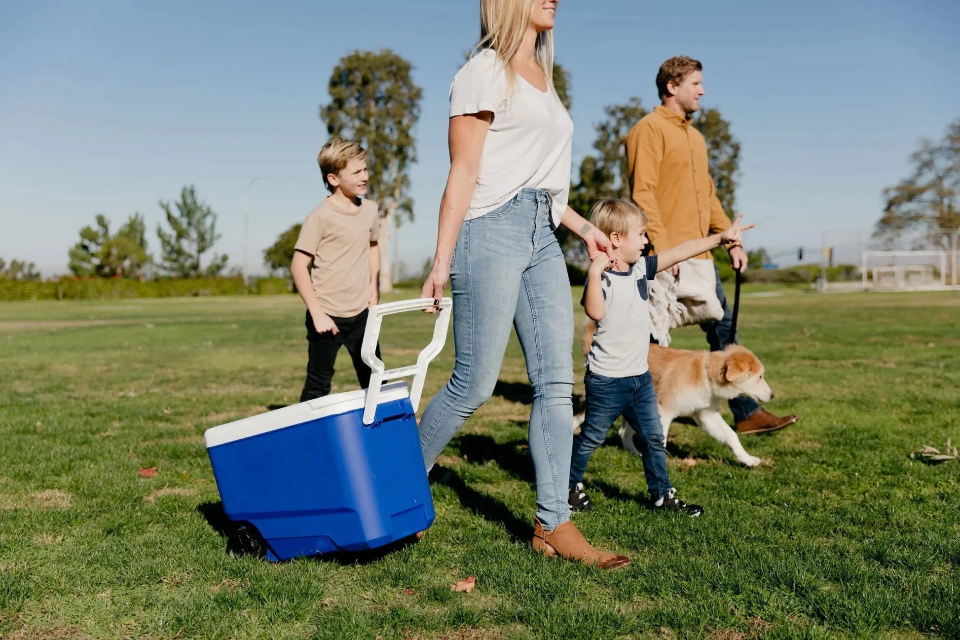 38 QT Wheelie Cool Hard Sided Cooler with Wheels, Blue Cool Brand Designs