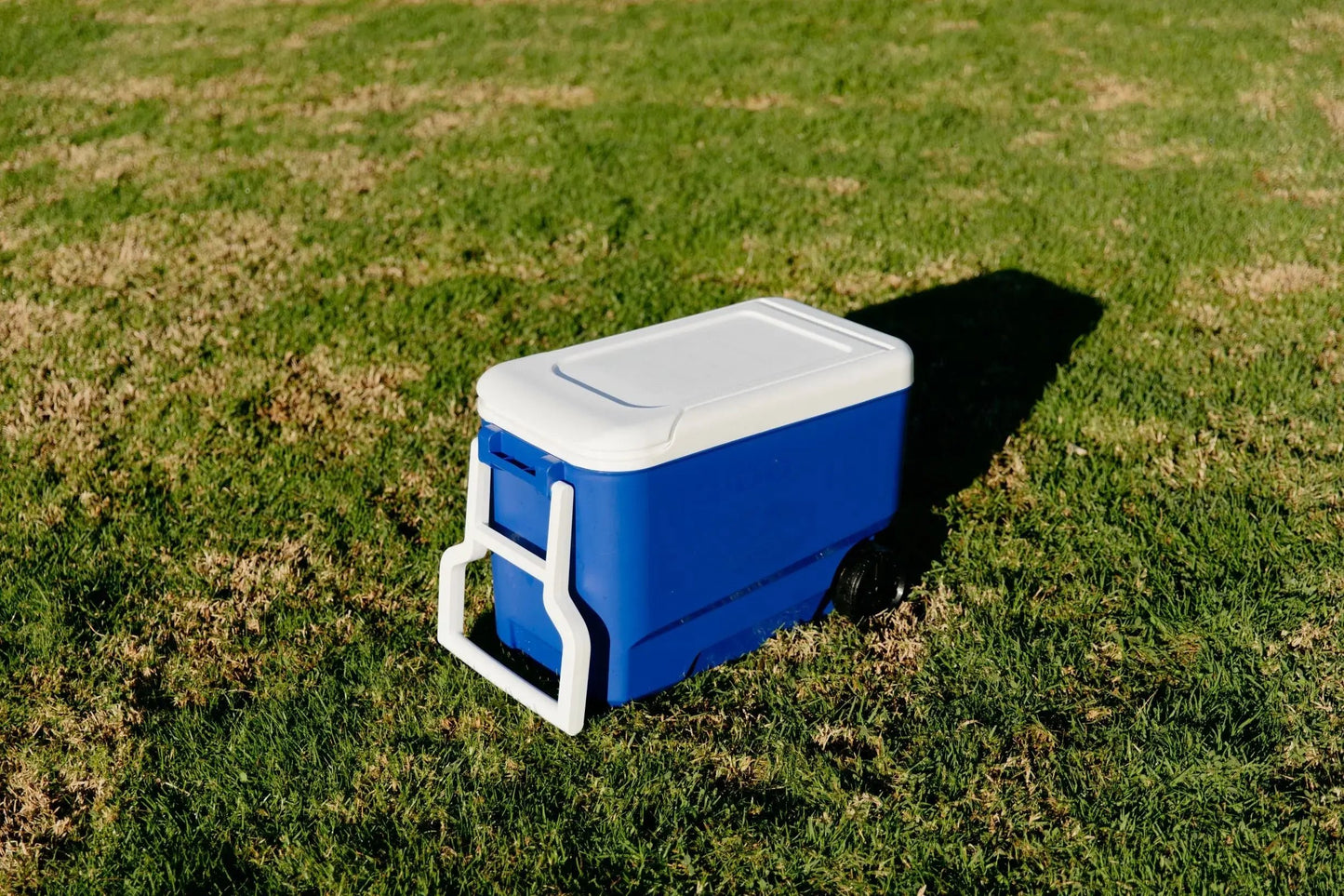 38 QT Wheelie Cool Hard Sided Cooler with Wheels, Blue Cool Brand Designs